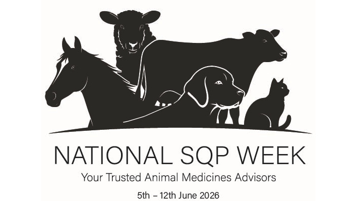 Blog post titled 'Reflecting on National SQP Week: recognising a profession that makes a difference every day'